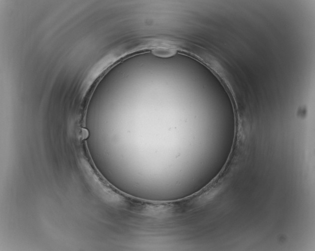 X0000113120997200909111135