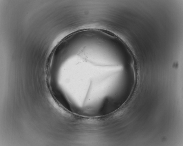 X0000113120998200909111135