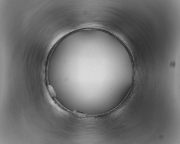 X0000113120999200909111135