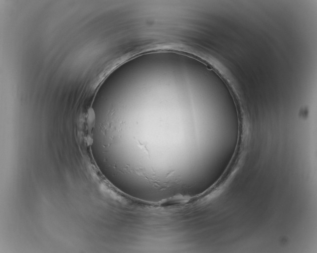 X0000113121001200909111135