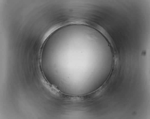 X0000113121002200909111135