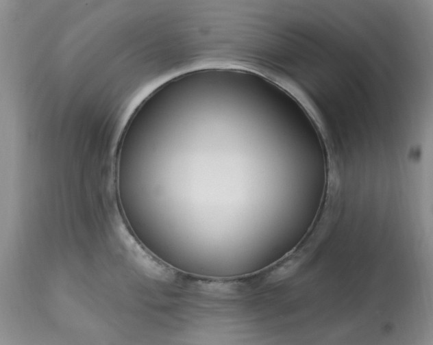 X0000113121004200909111135