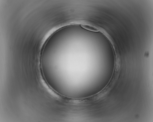 X0000113121005200909111135