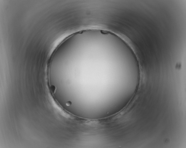 X0000113121006200909111135