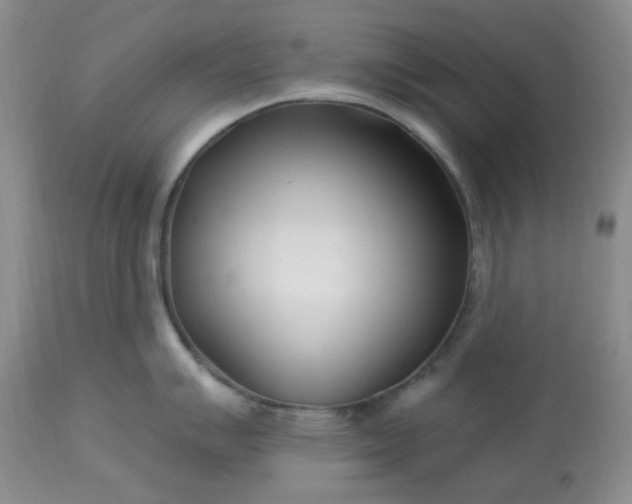 X0000113121007200909111135