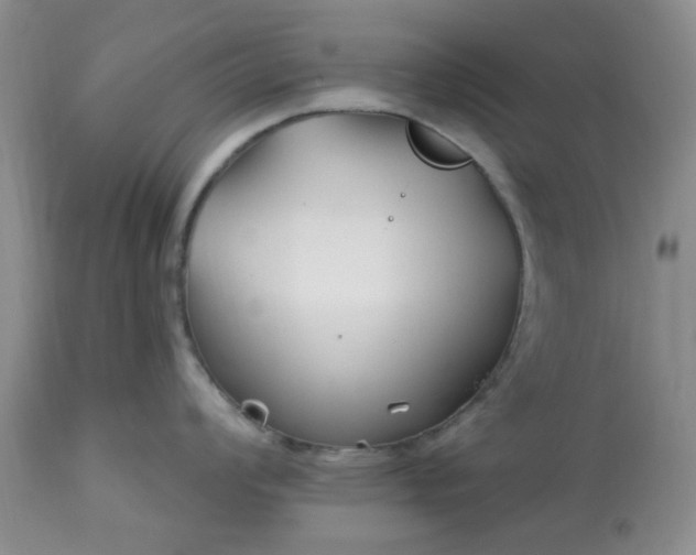 X0000113121008200909111135