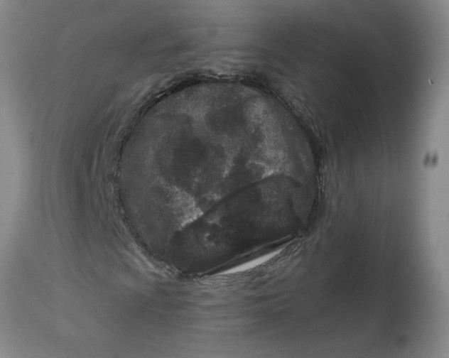 X0000113121009200909111134