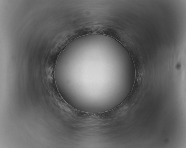 X0000113121010200909111134