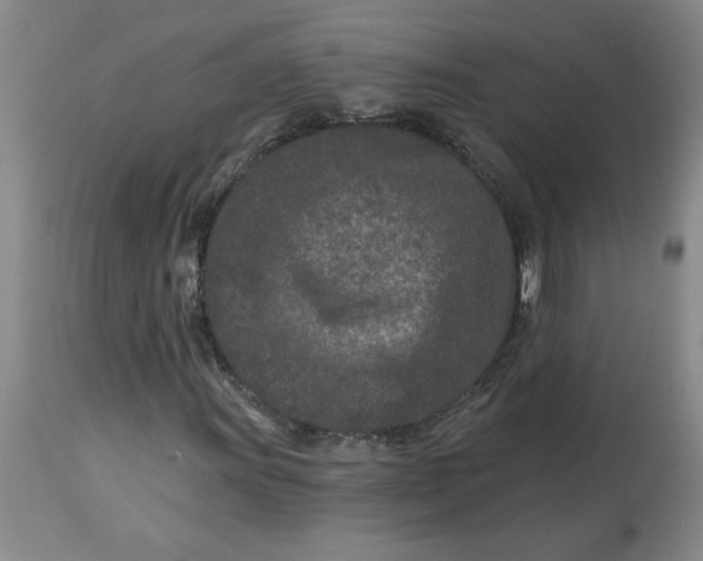 X0000113121011200909111134