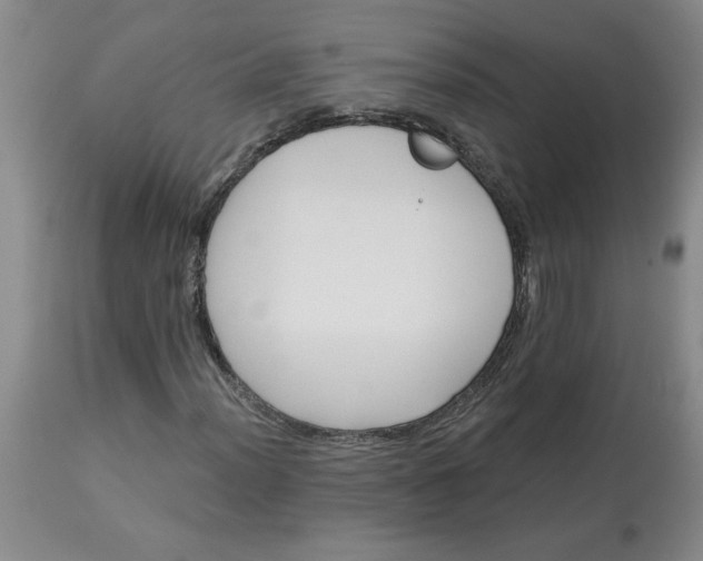 X0000113121012200909111134