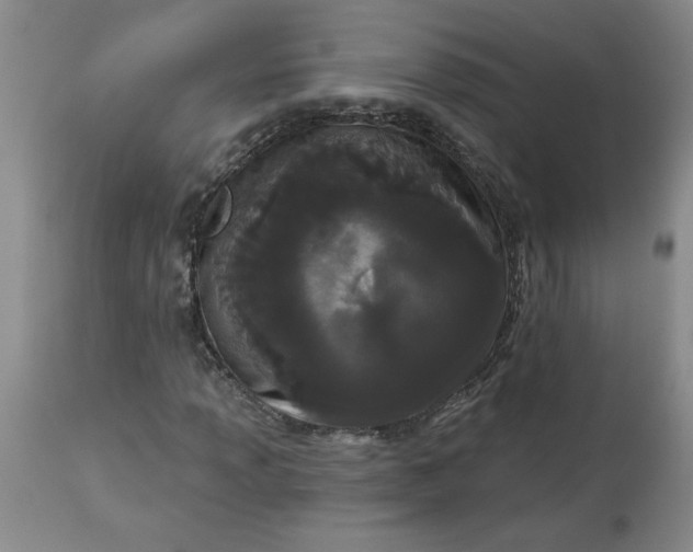 X0000113121013200909111134