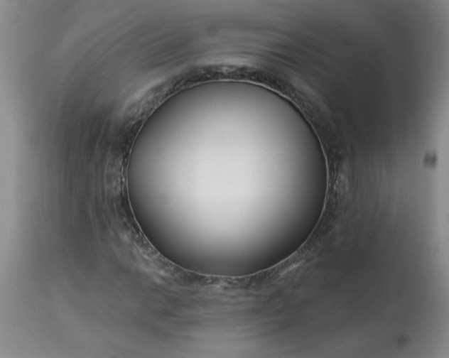 X0000113121014200909111134