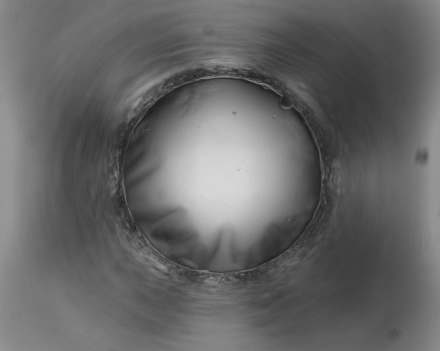 X0000113121015200909111134