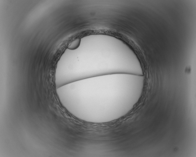 X0000113121016200909111134