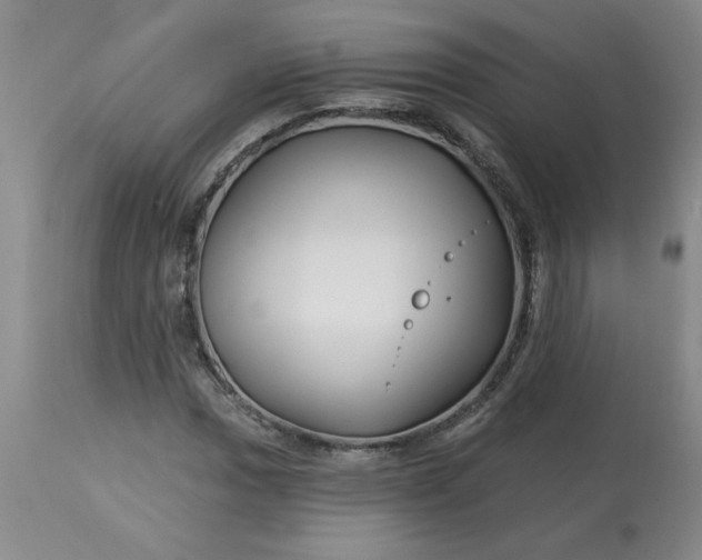 X0000113121017200909111134