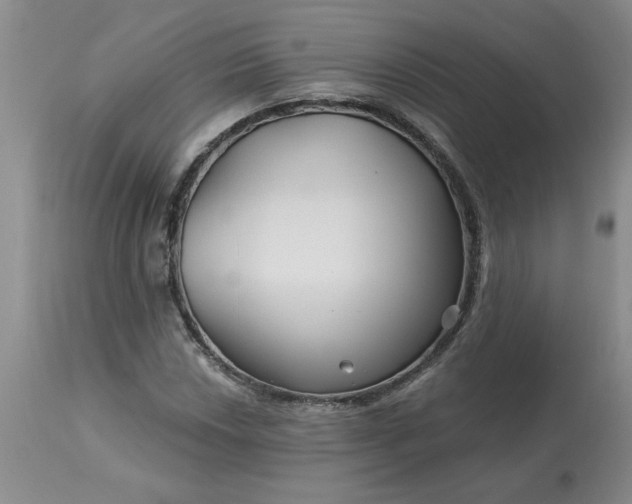 X0000113121018200909111134