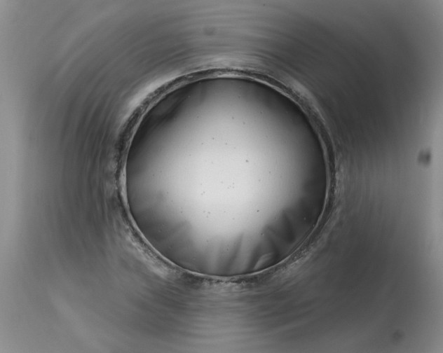 X0000113121019200909111134