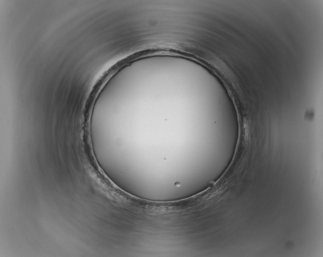 X0000113121020200909111134