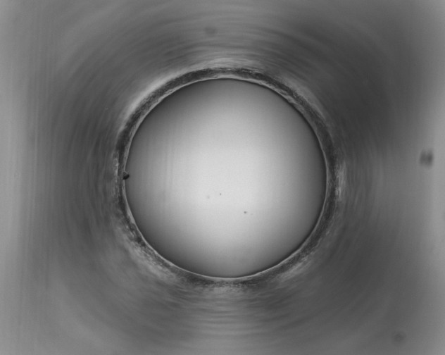 X0000113121021200909111134