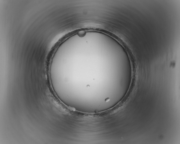 X0000113121022200909111134