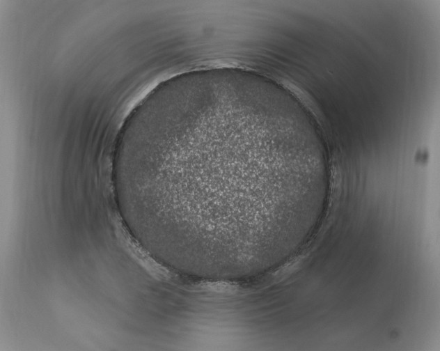 X0000113121023200909111134