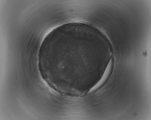 X0000113121024200909111134