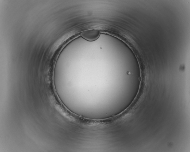 X0000113121026200909111134