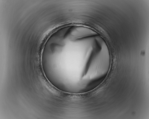 X0000113121027200909111134