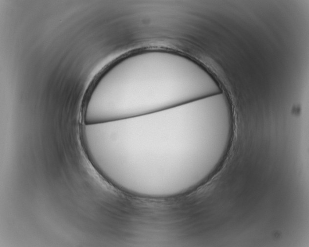 X0000113121028200909111134