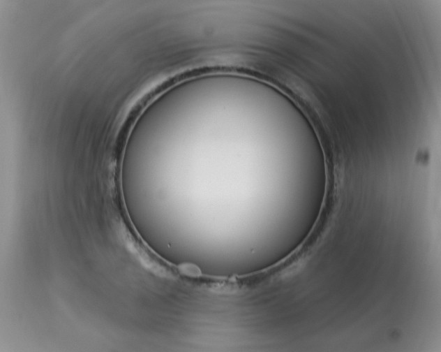 X0000113121029200909111134