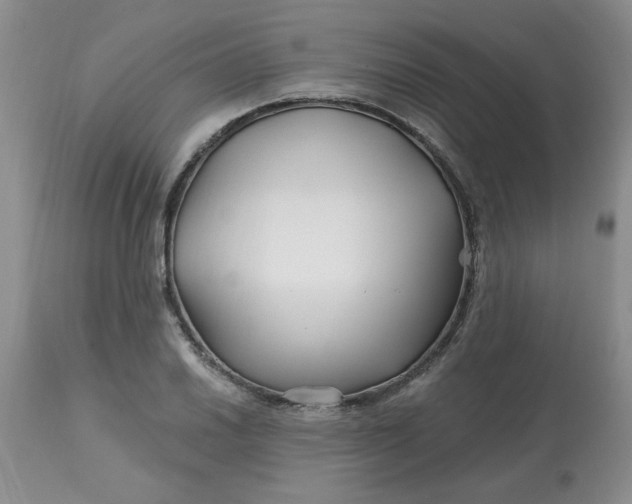 X0000113121030200909111134