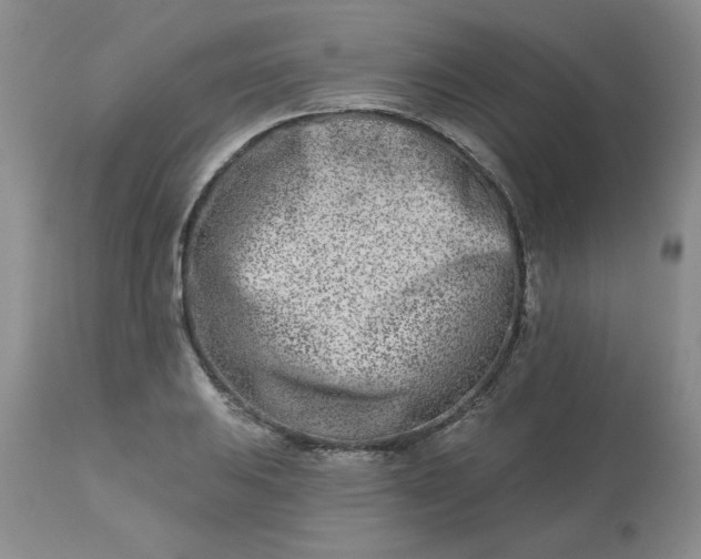 X0000113121031200909111134