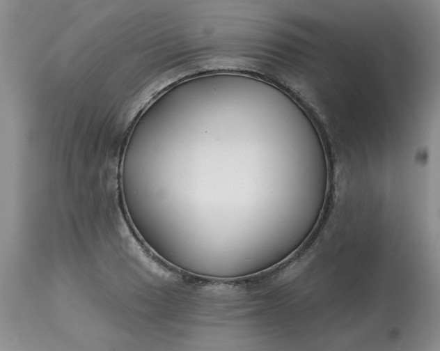 X0000113121033200909111134