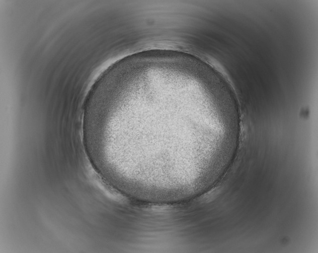 X0000113121035200909111134