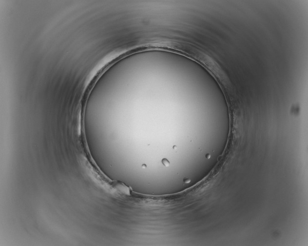 X0000113121036200909111134