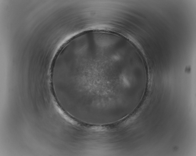 X0000113121037200909111134