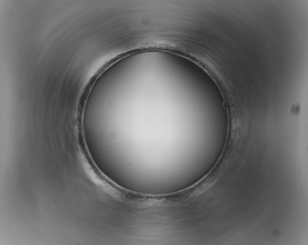 X0000113121038200909111134