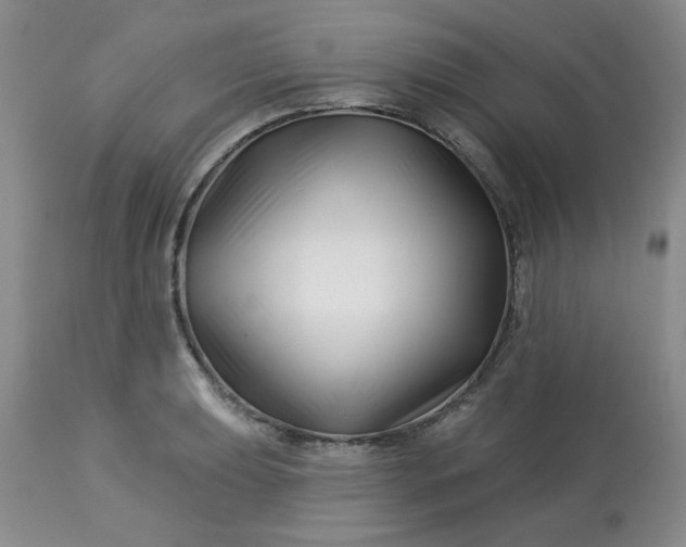 X0000113121039200909111134