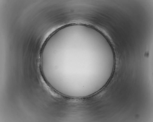 X0000113121040200909111134