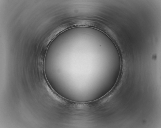 X0000113121041200909111134