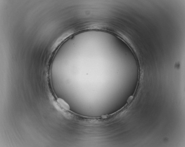 X0000113121042200909111134