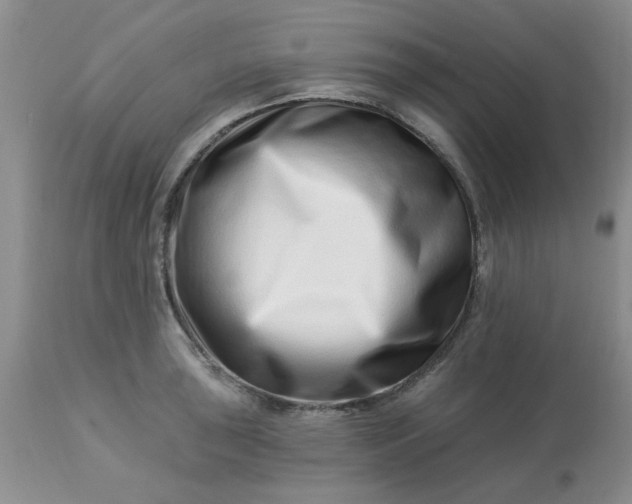 X0000113121043200909111134