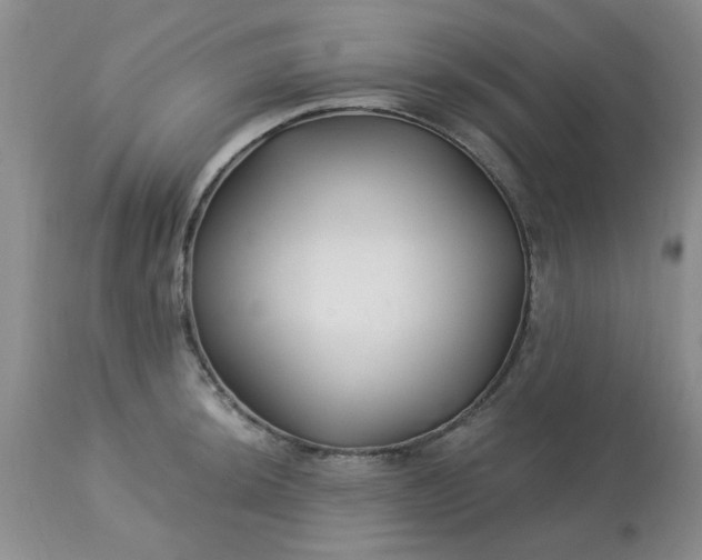 X0000113121044200909111134