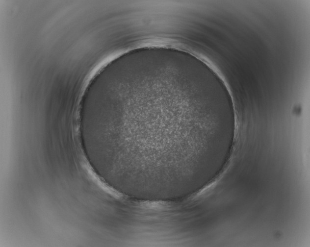 X0000113121045200909111134