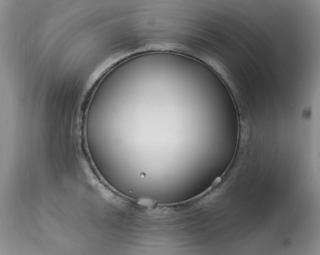 X0000113121046200909111134