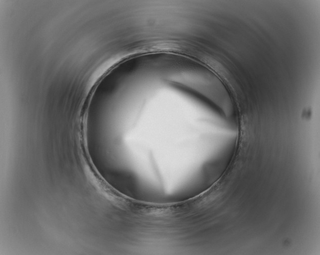 X0000113121047200909111134