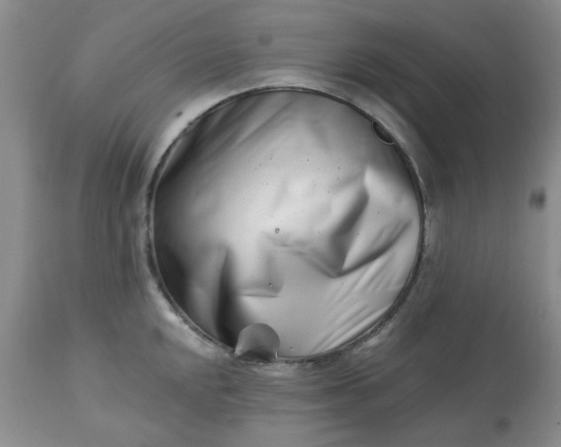 X0000113121048200909111134