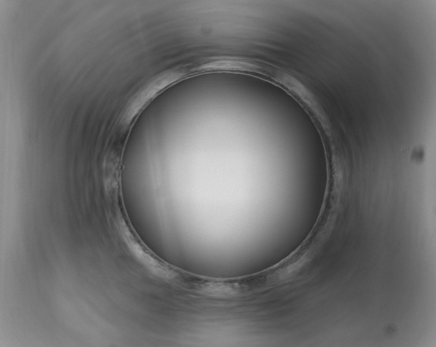 X0000113121049200909111134