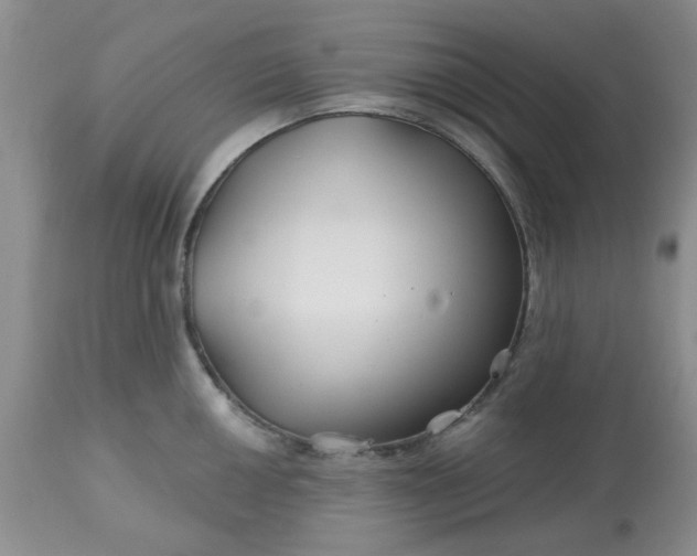 X0000113121050200909111134