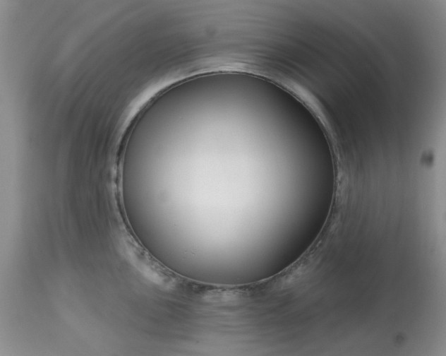 X0000113121051200909111135